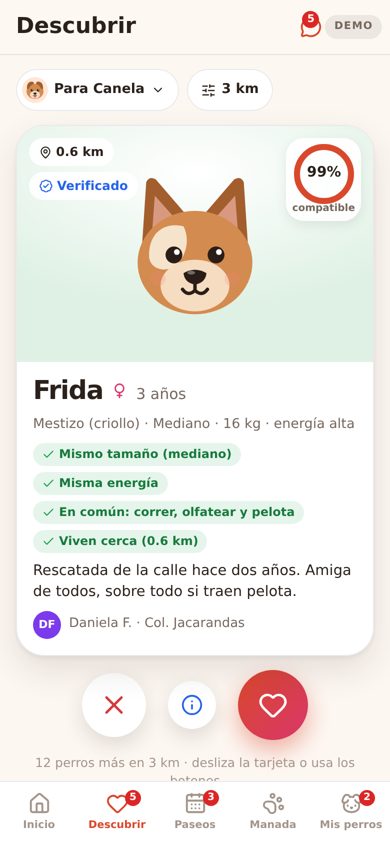 Discover: a compatible dog for yours, with the reasons it's a good match