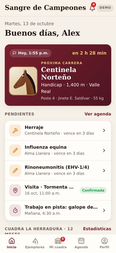 Home: your horse's next race and the pending health items